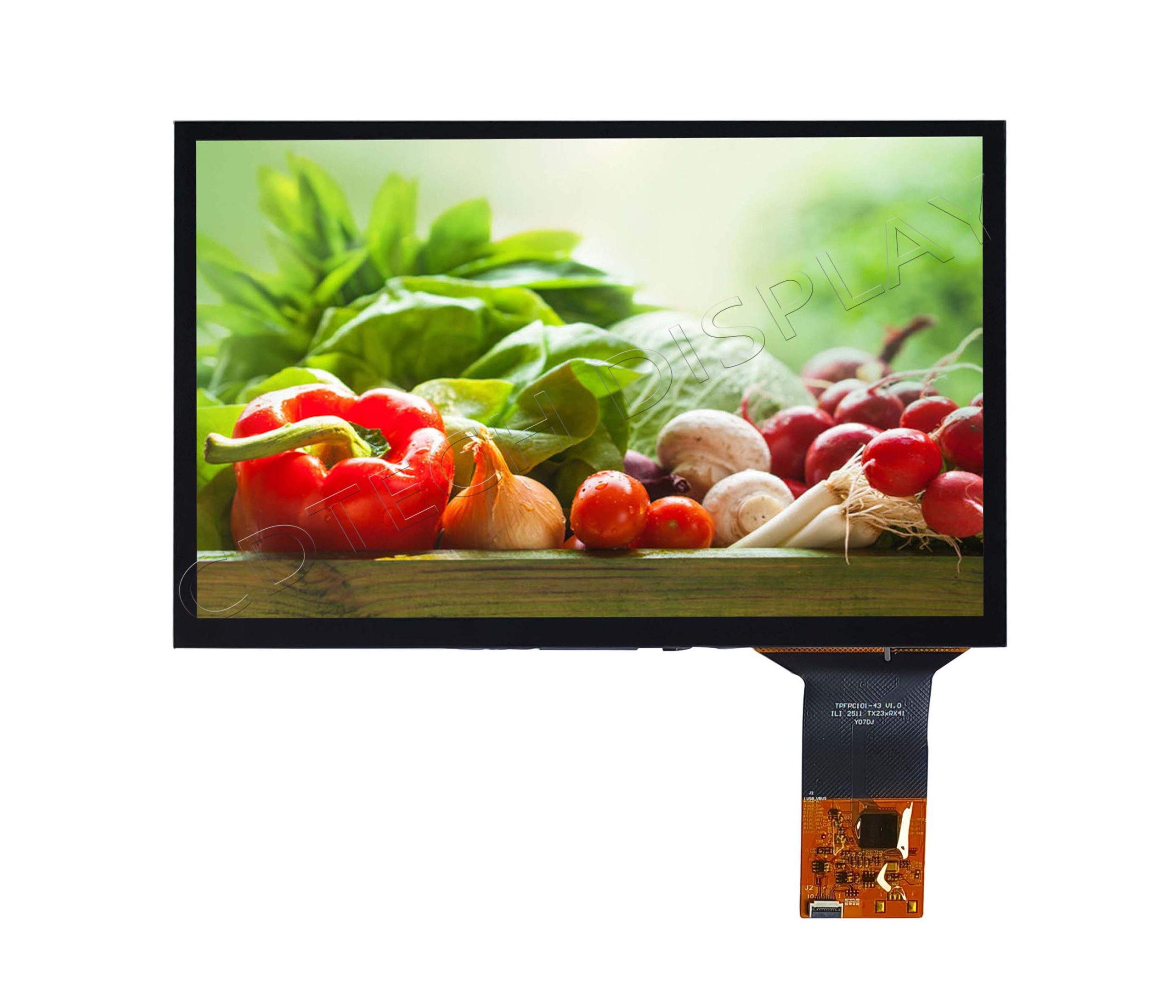 S101HWX53EP-FC43 sy2