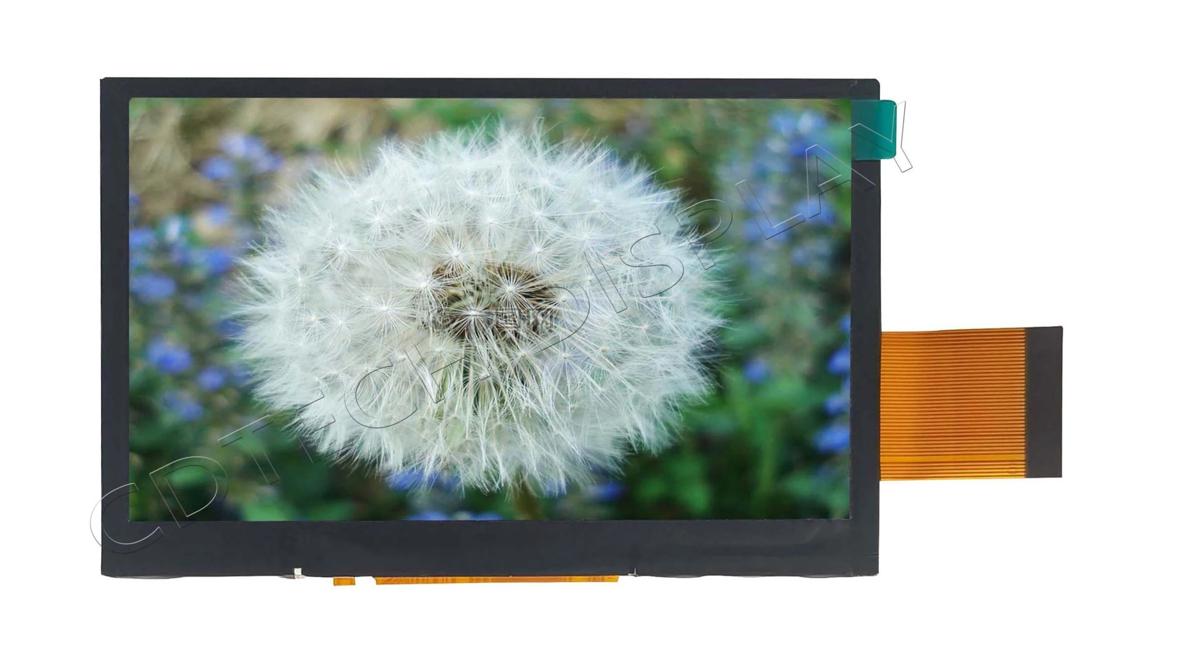 4.3″ IPS TFT LCD Module-1