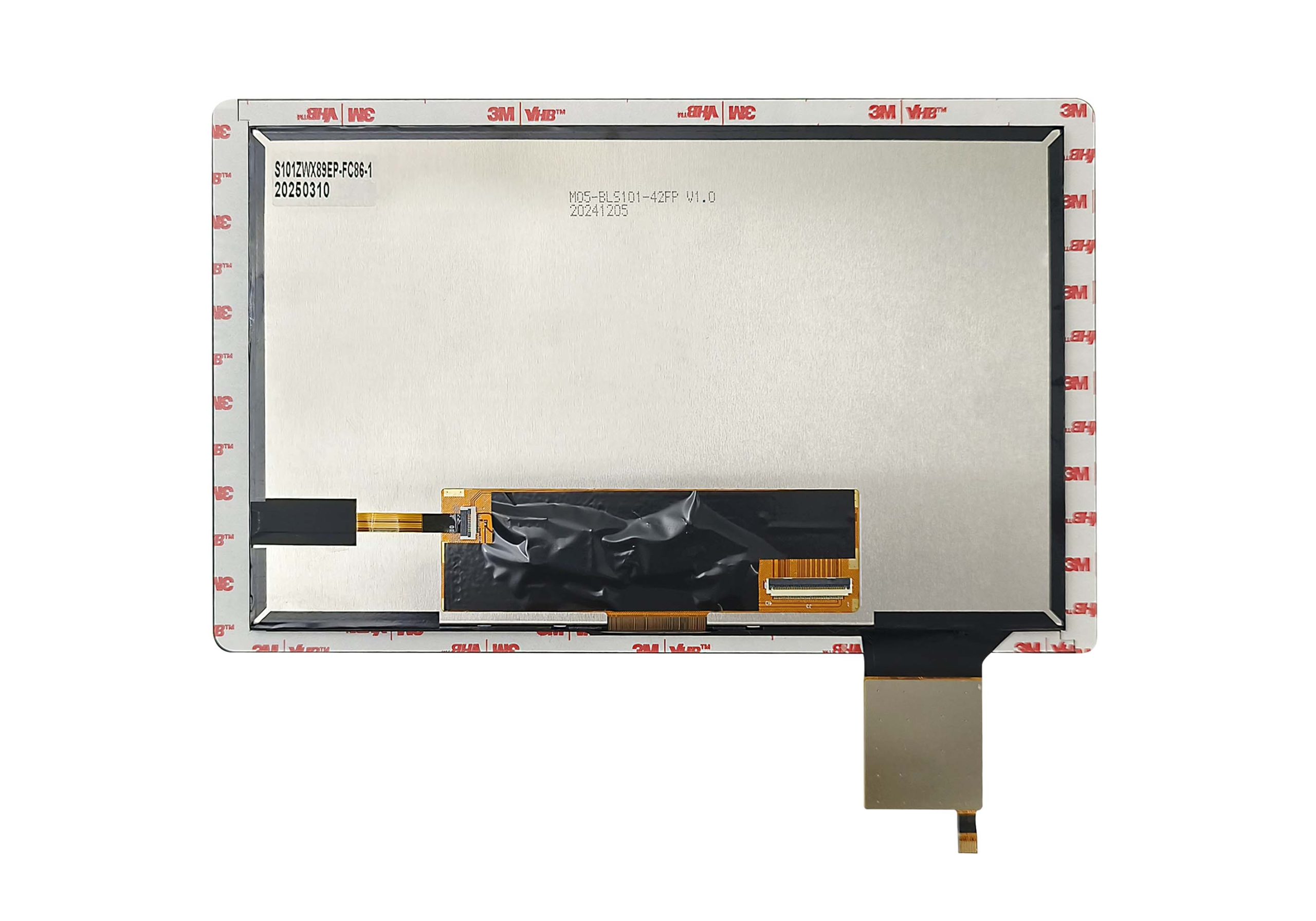 S101ZWX89EP-FC86-1 BM