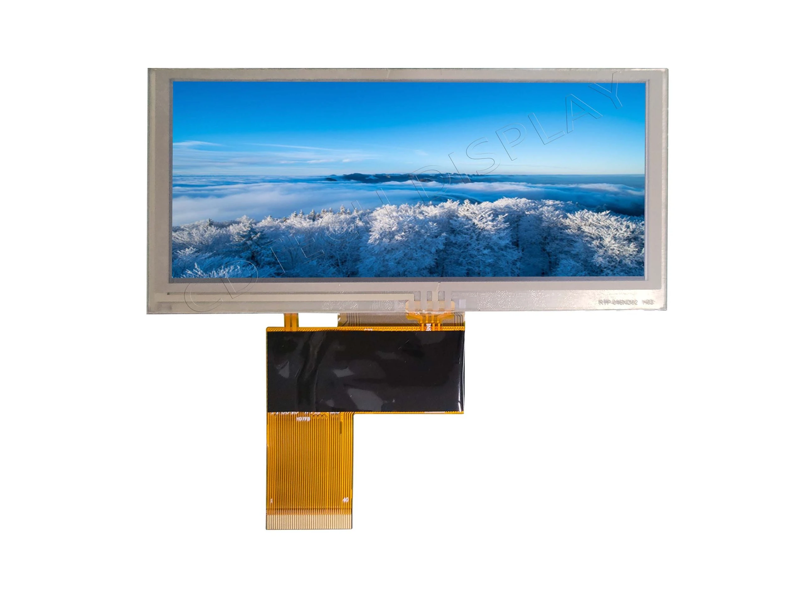 4.6″ TN Display, Bar Type-1