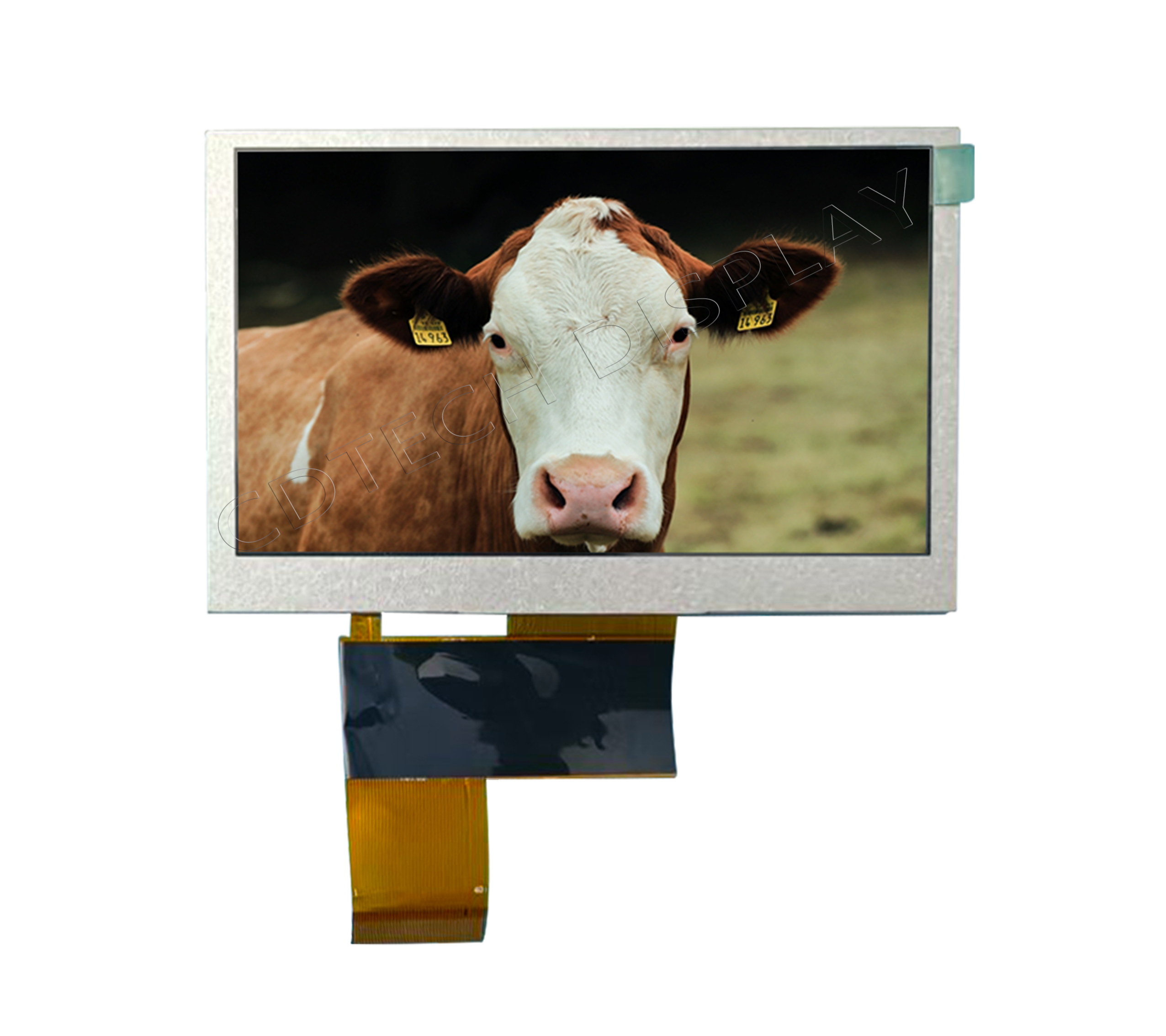 S043HWQ50ED-3 zm