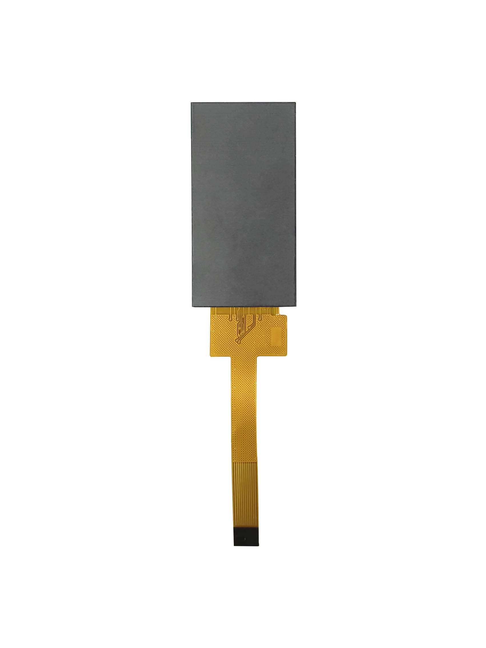 S019BQ01HN bm2