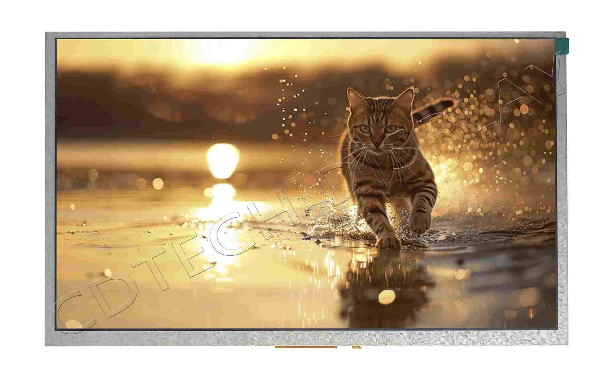 10.1 IPS Display without touch panel