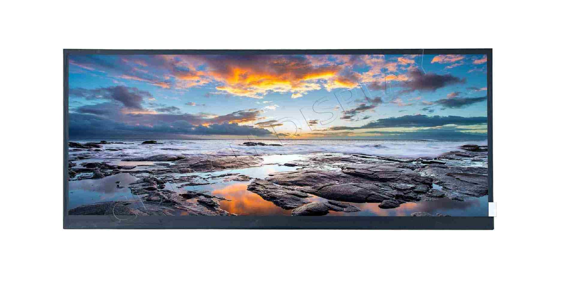 12.3 Sunlight Readable IPS Display without touch panel