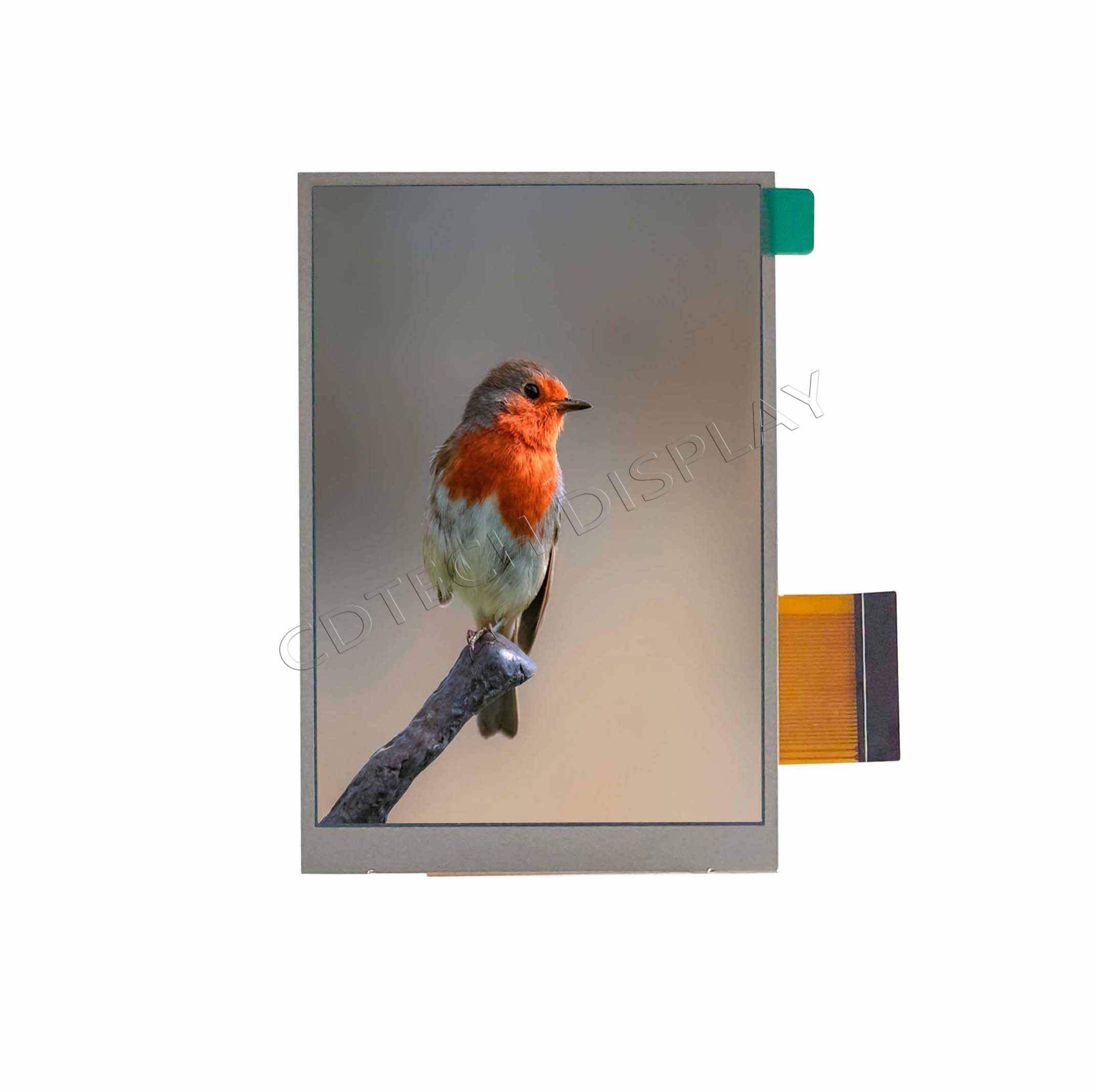 IPS Display 260 Nits without Touch Panel