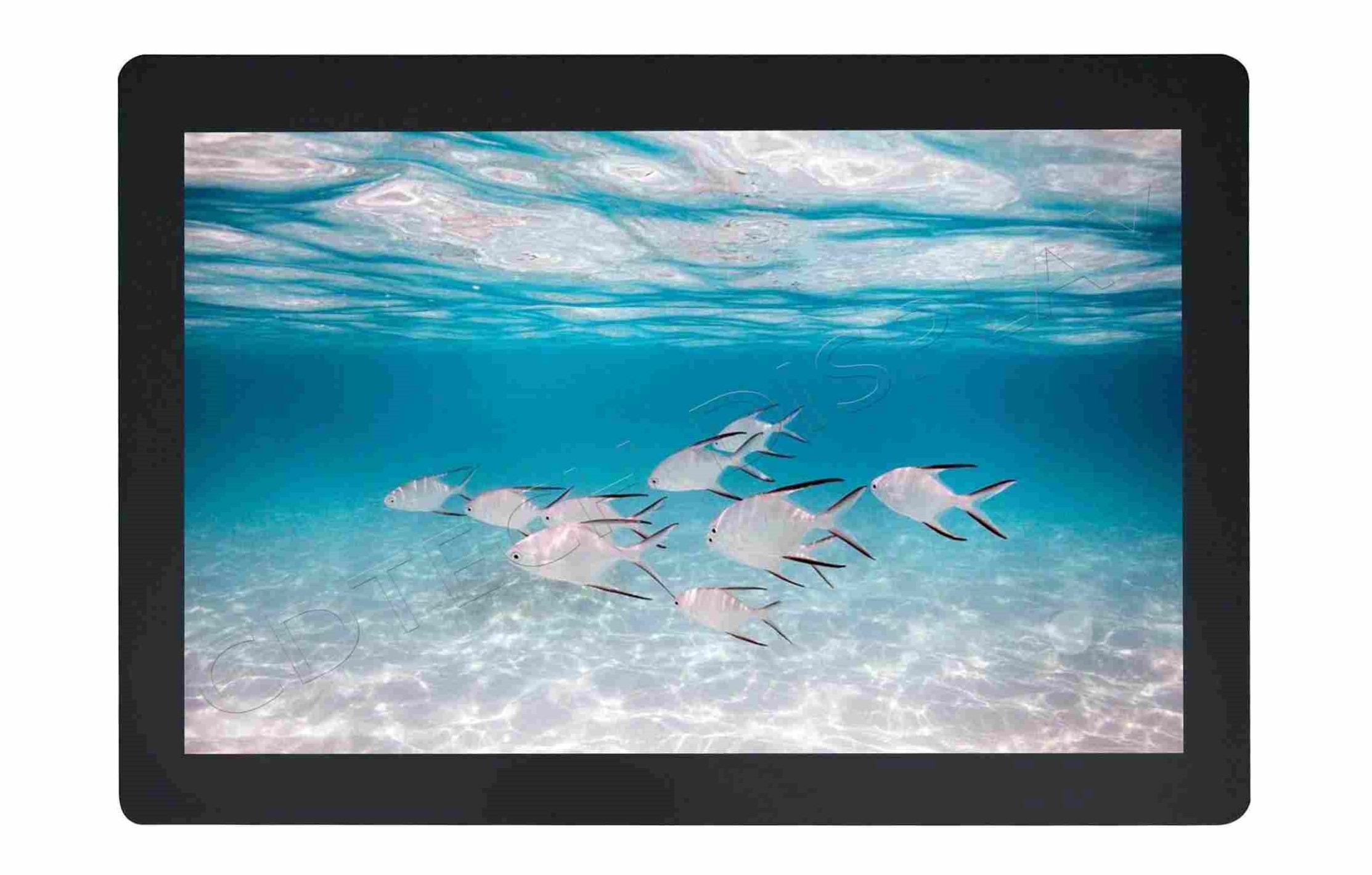IPS Display with Capactive Touch Panel Optical bonded