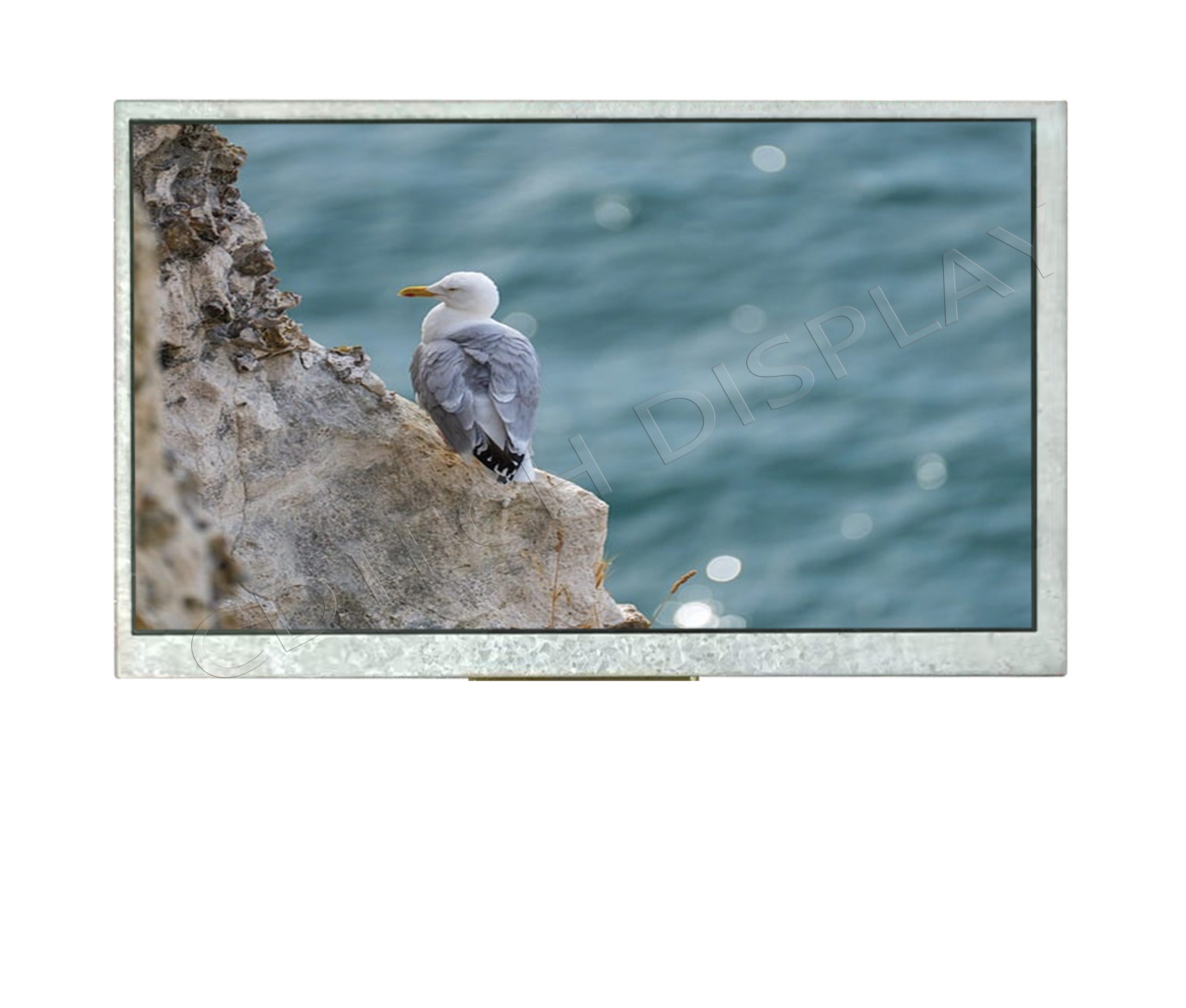 S070SWV95HG front view