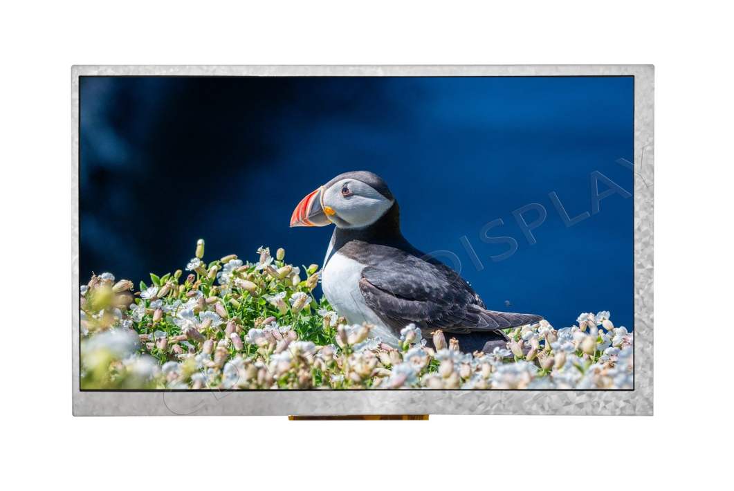 Exploring the Benefits of a 7 Inch Touch Screen Display in Modern Devices