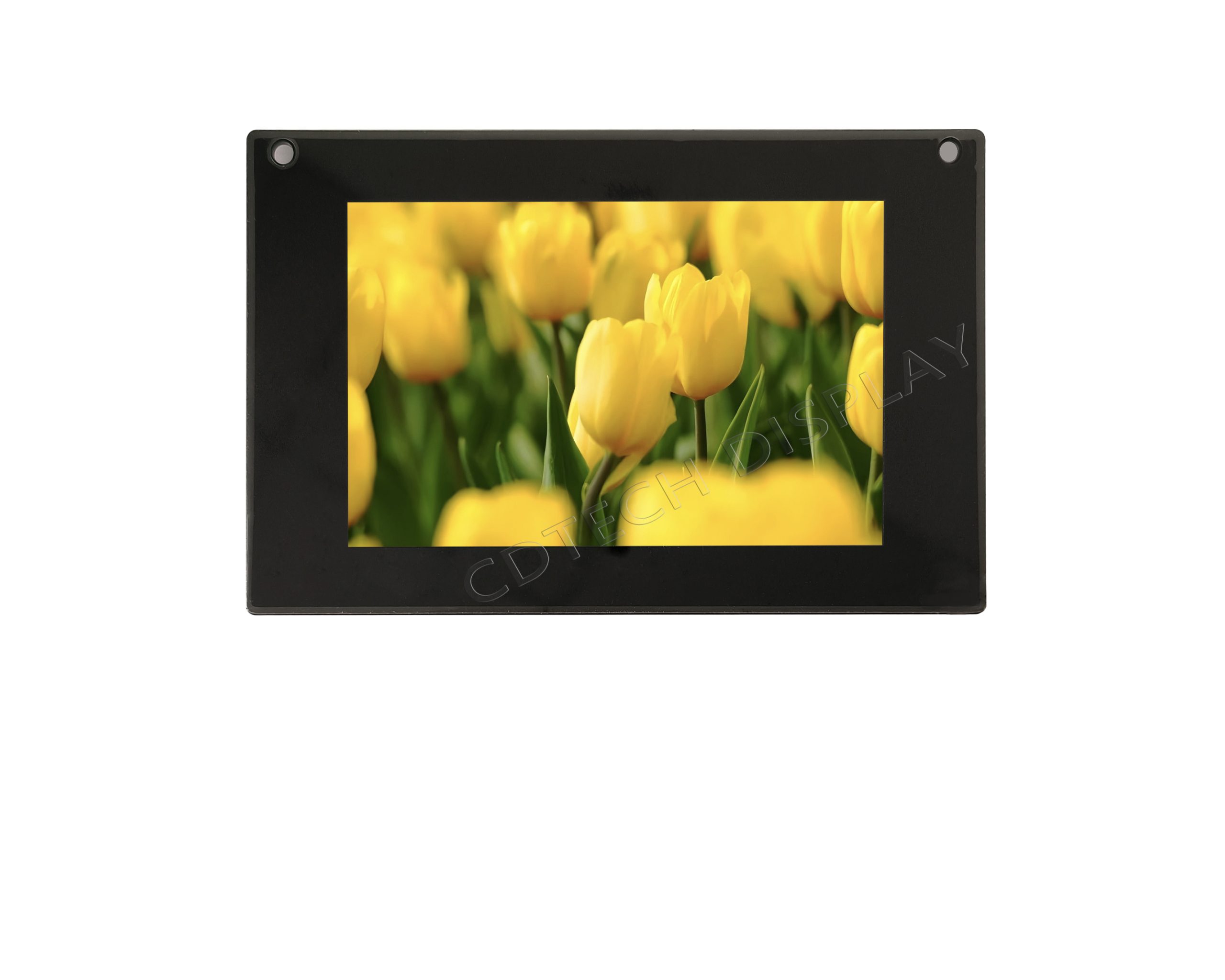 S050BWV62ES-DC60 front