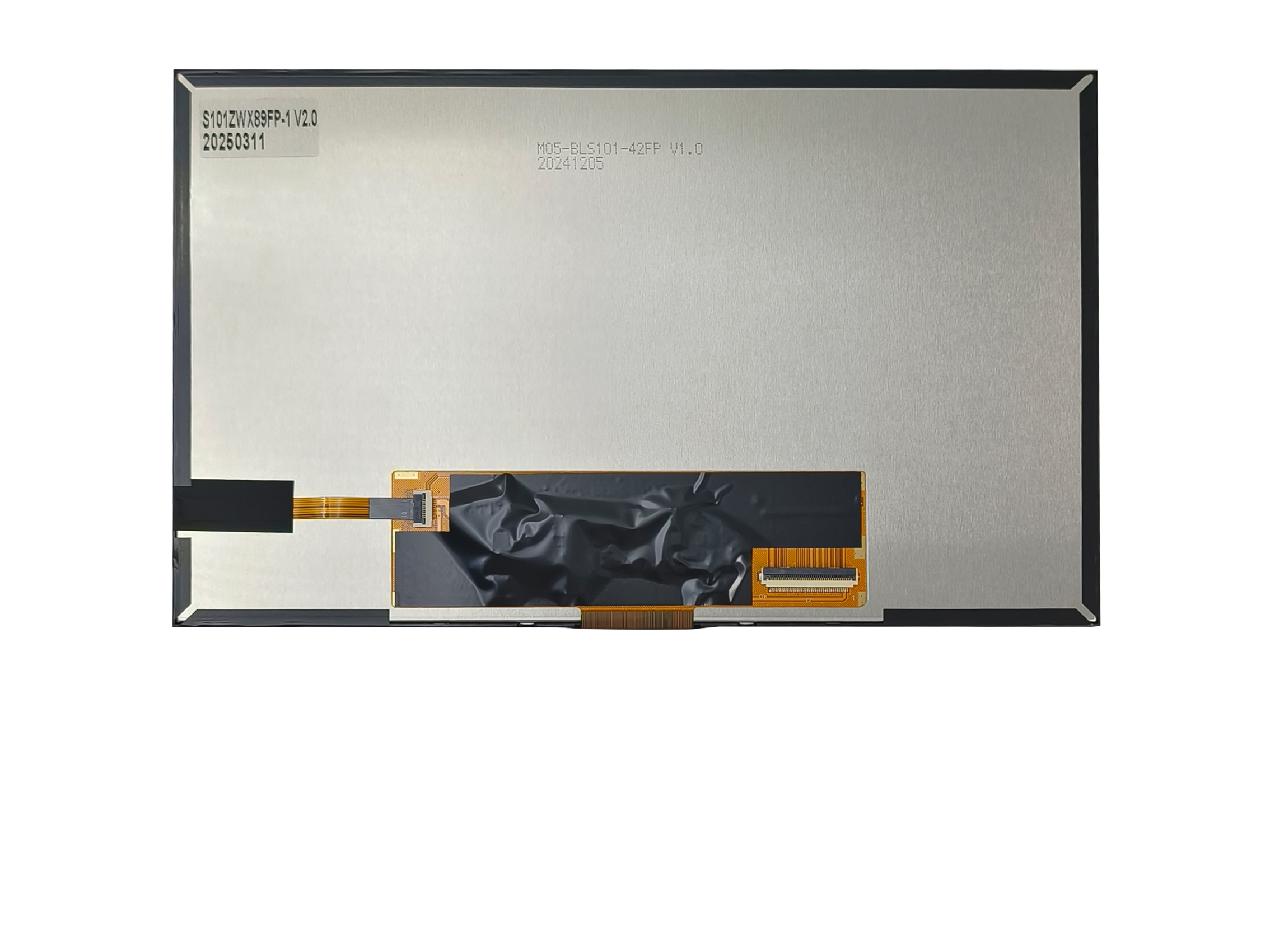 S101ZWX89FP-1 back