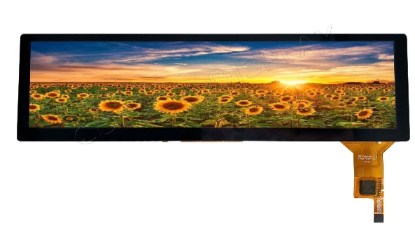 8.8 Sunlight Readable IPS display