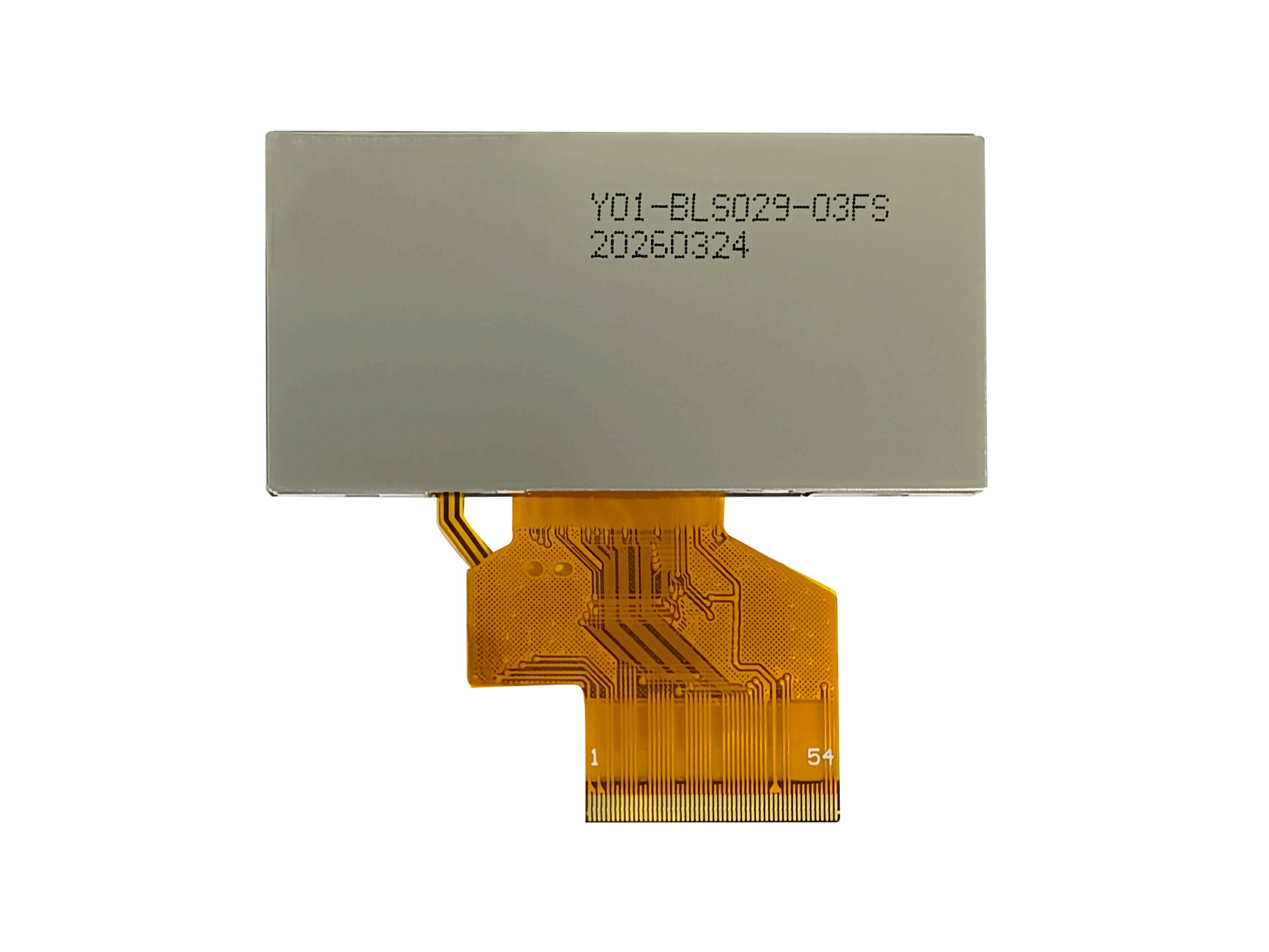 S029HQ05FS back view