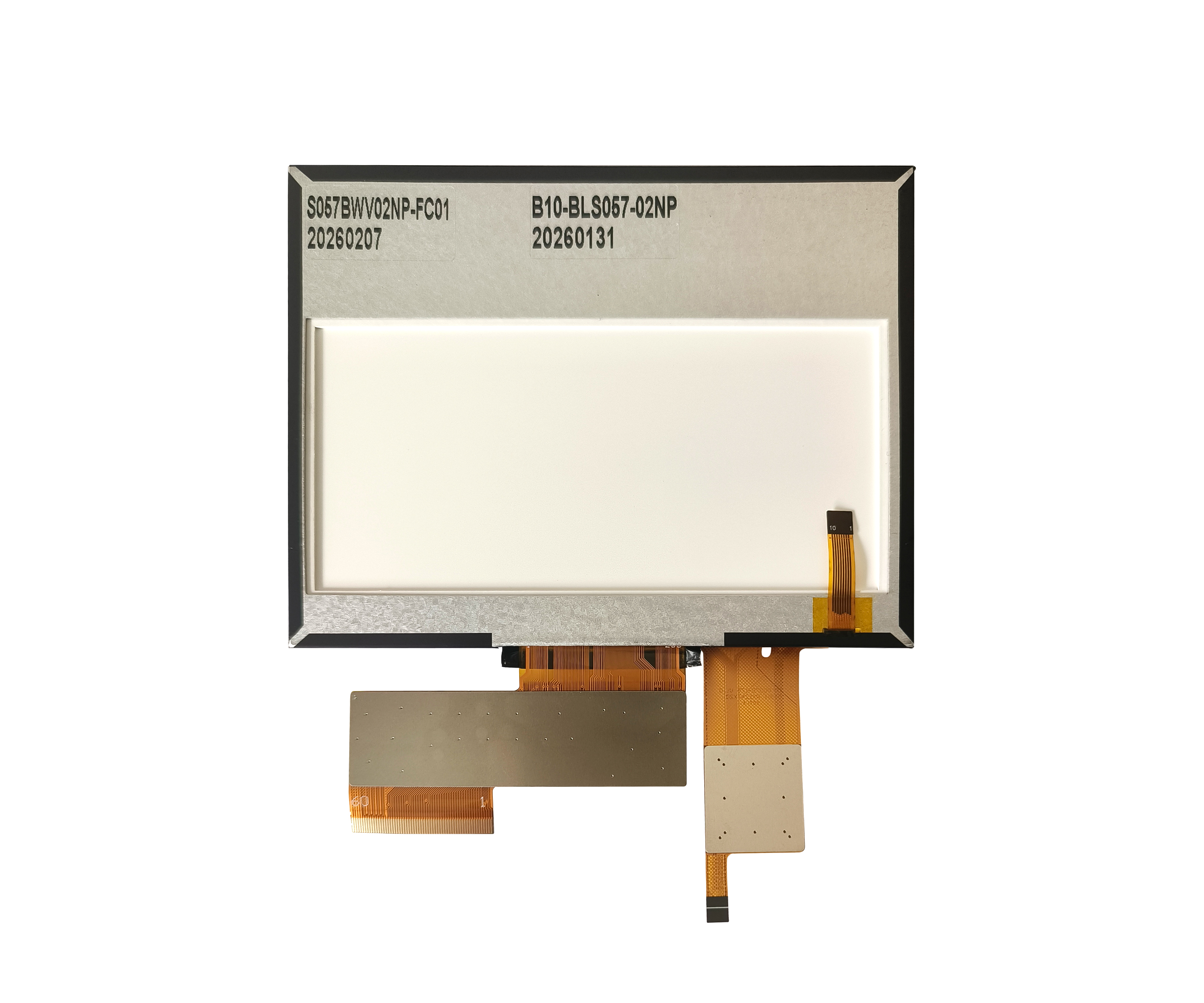 S057BWV02NP-FC01 back